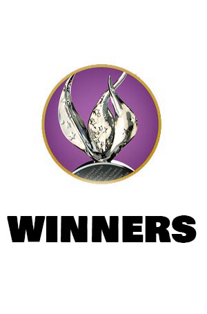 2025 winners